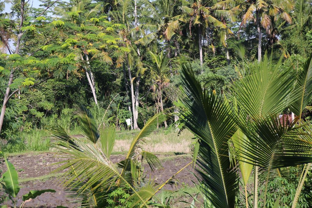 Pesantian Villa And Warung Ubud  Ngoại thất bức ảnh